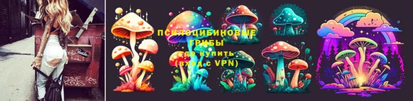 мдпв Нязепетровск