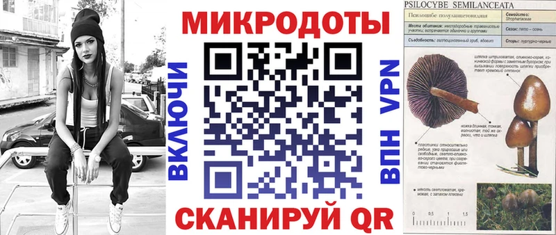Псилоцибиновые грибы GOLDEN TEACHER продажа наркотиков Болхов